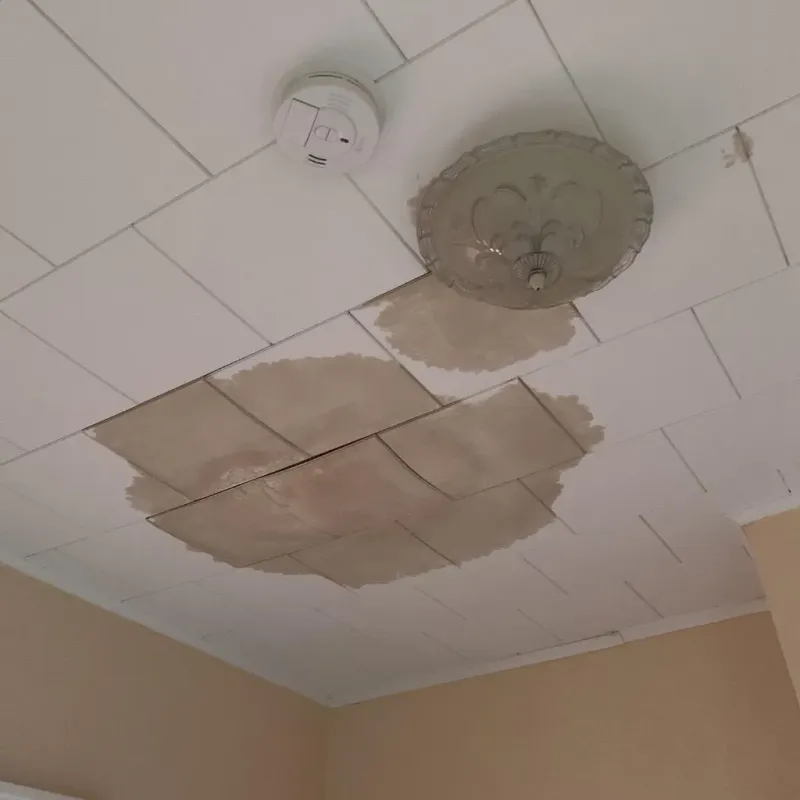 Ceiling Water Damage Repair in City Island, NY